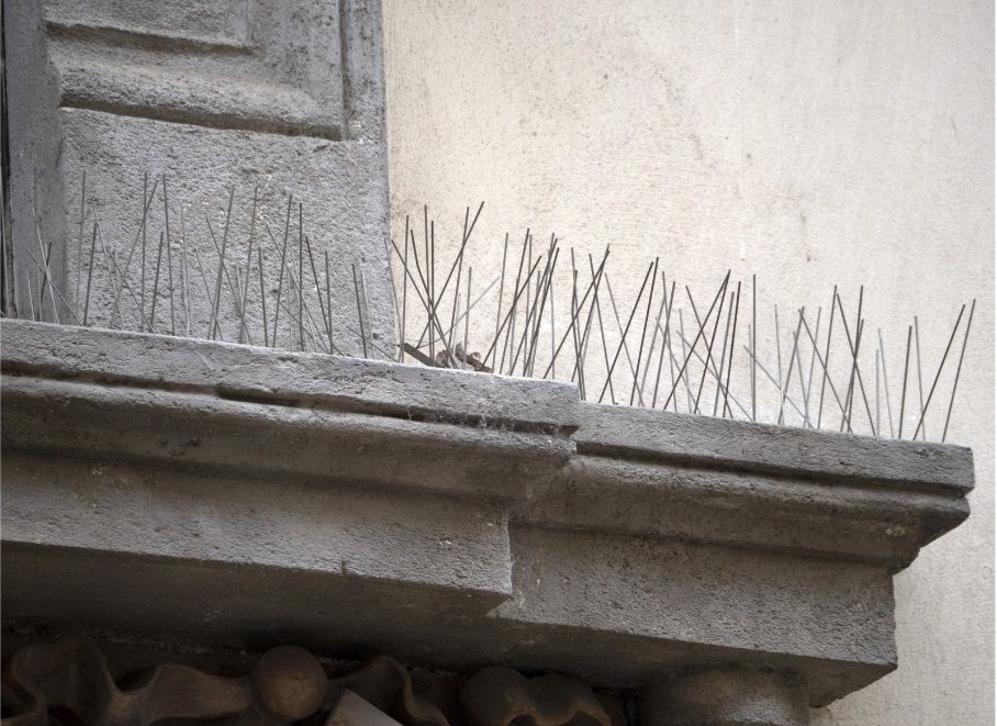 Barrière anti-pigeons installée sur une corniche de bâtiment en Bretagne pour prévenir les nuisances causées par les oiseaux.