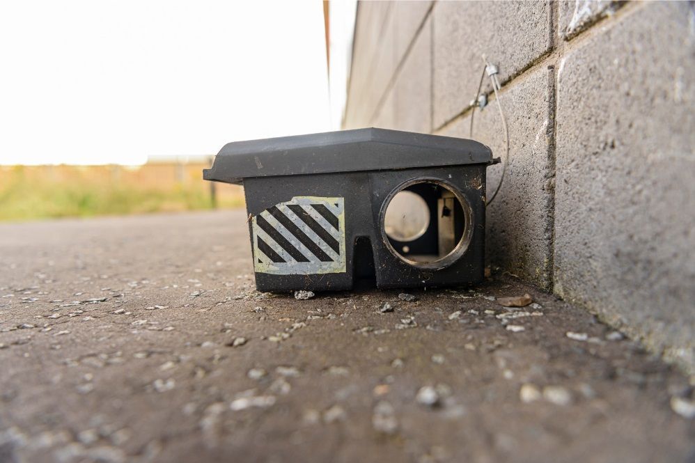 Boîte contenant un appât pour rat ou souris posé à l'extérieur d'un bâtiment. 