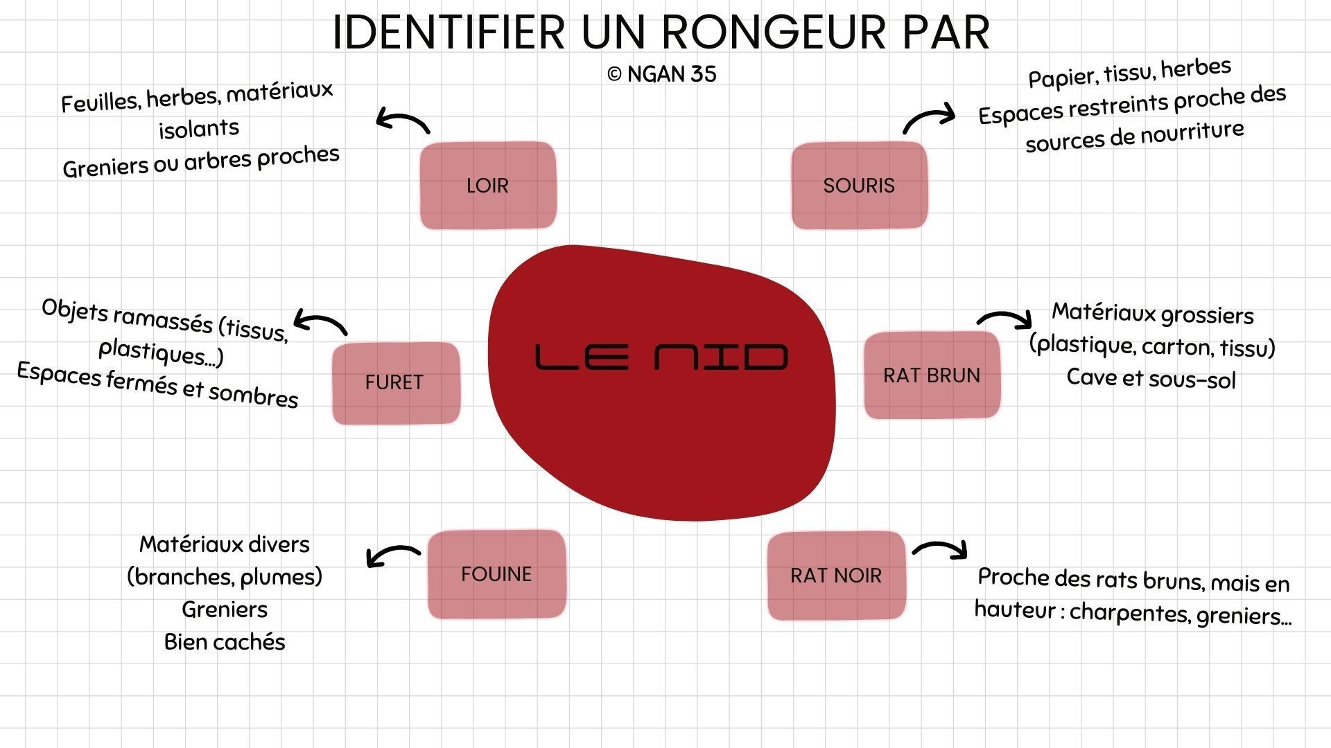 Infographie sur les éléments permettant de reconnaître les différents nids et cachette des rongeurs