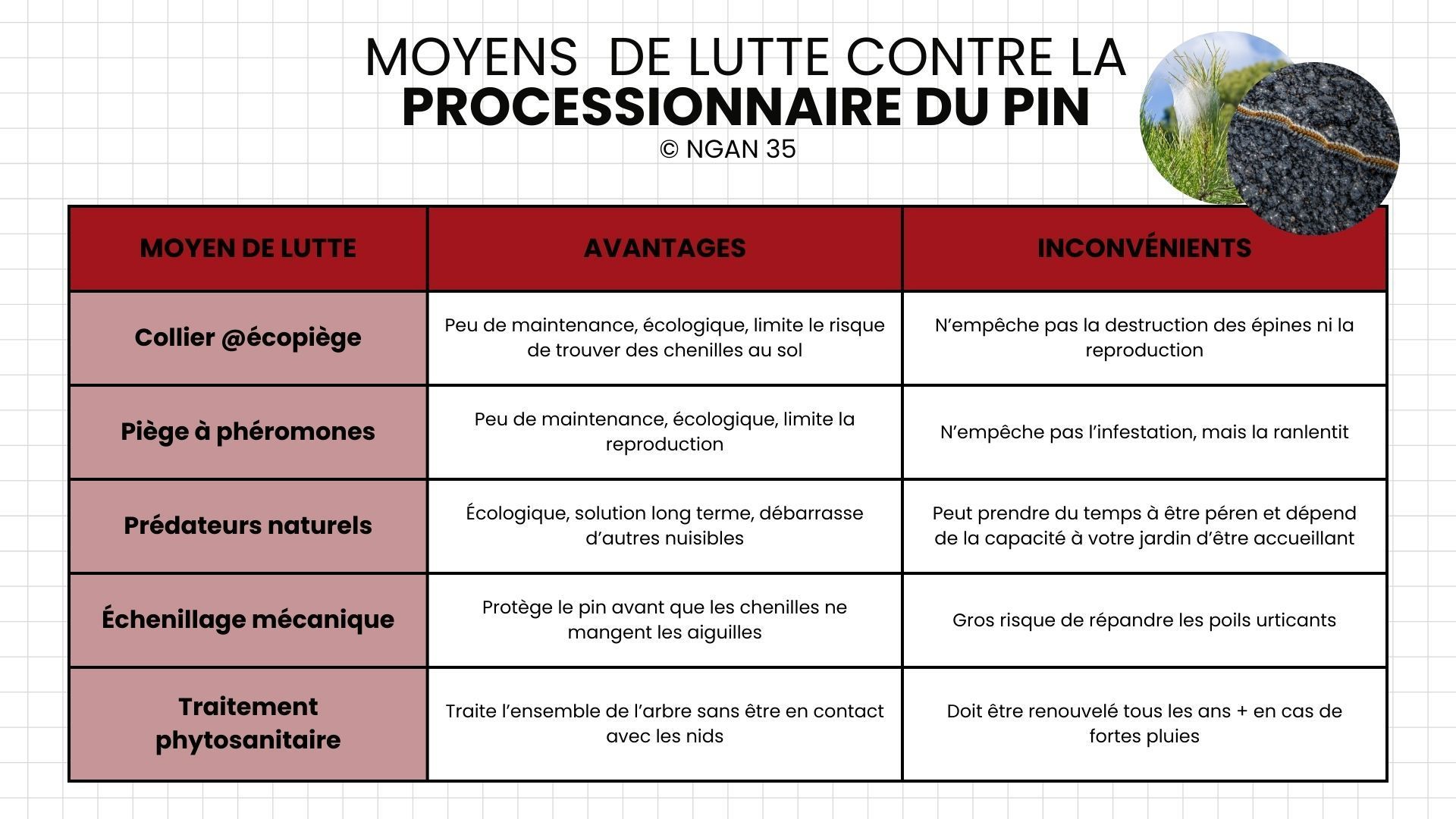 Tableau comparatif des avantages et inconvénients des moyens de lutte contre la chenille processionnaire présentés dans l'article