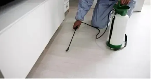 Un désinsectiseur qui utilise de l'insecticide à action rapide plutôt que de la terre de diatomée