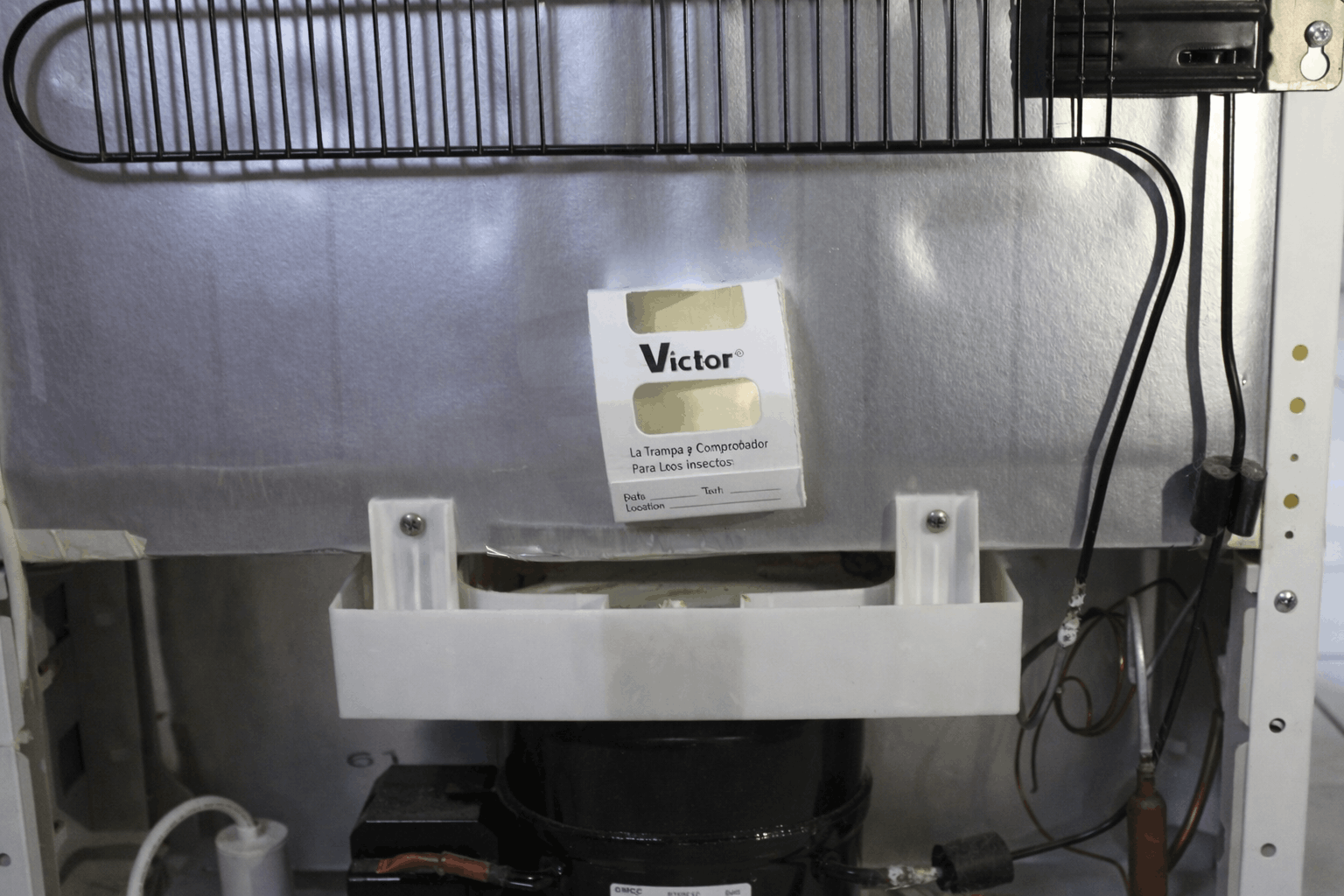 Détecteur à insectes rampant autocollants derrière un réfrigérateur