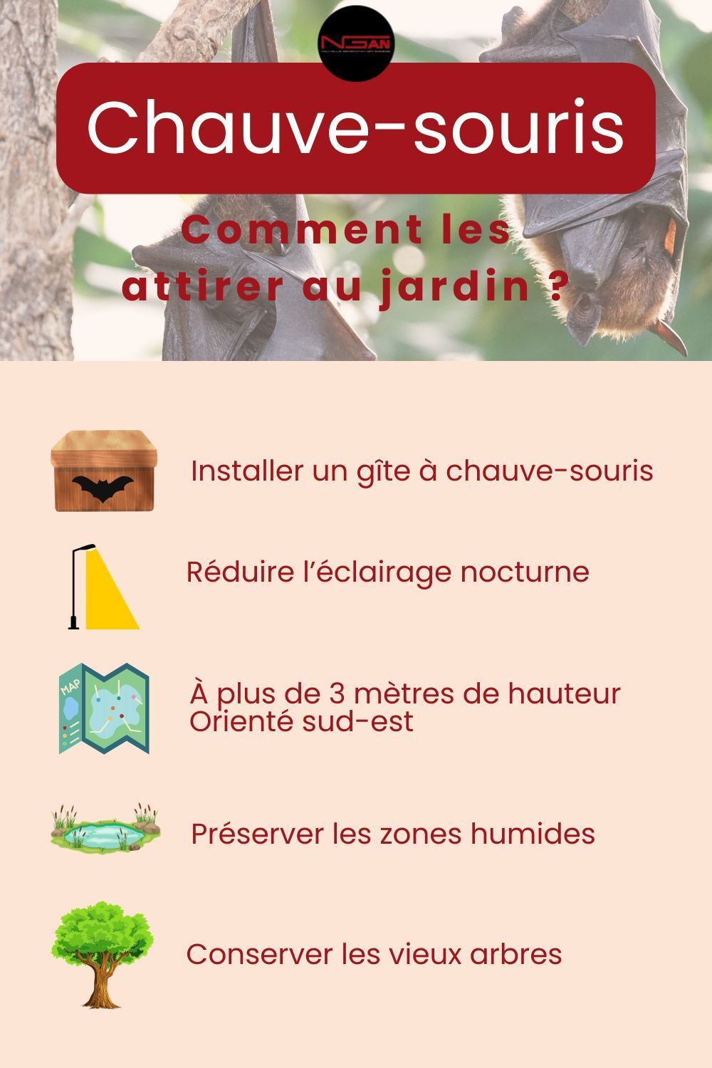 Infographie présentant les bonnes pratiques pour attirer les chauve-souris dans un espace vert et lutter naturellement contre les chenilles processionnaires.