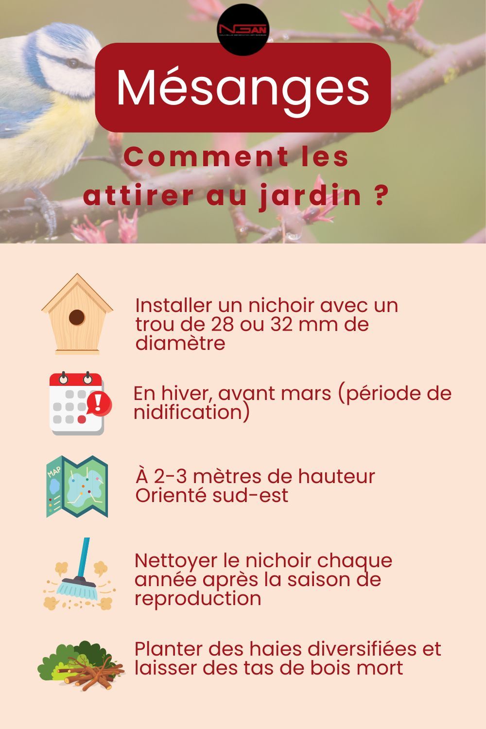 Infographie sur les bonnes pratiques pour attirer les mésanges dans le jardin et lutter naturellement contre les chenilles processionnaires