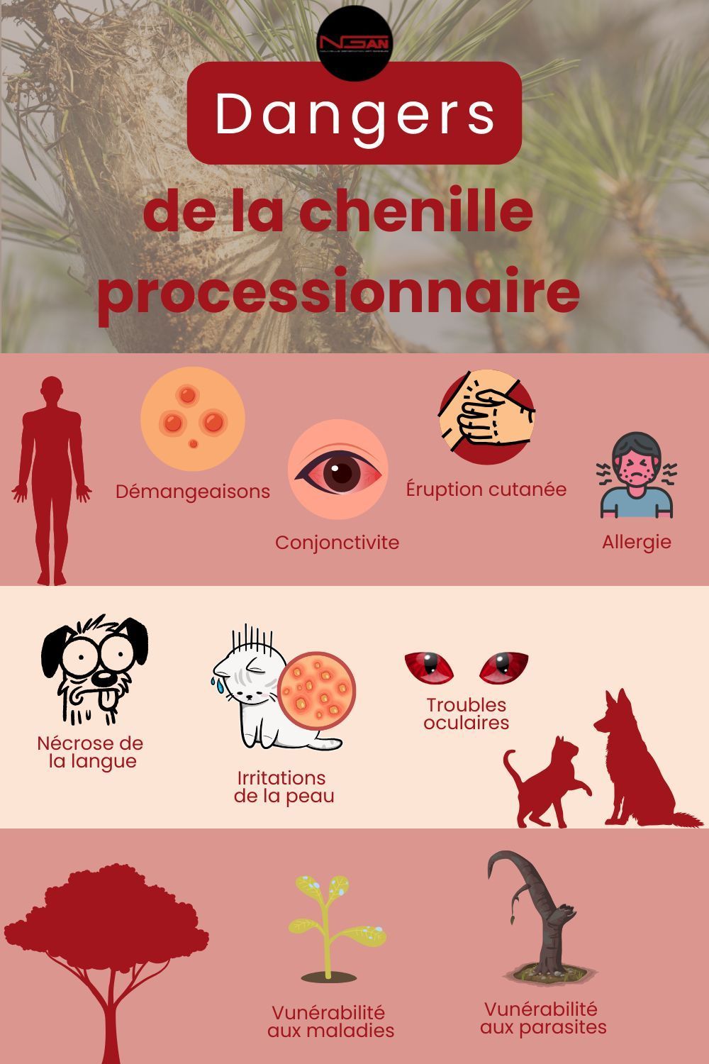 Infographie présentant les risques liés à la présence de chenilles processionnaires pour les humains, les animaux et les végétaux