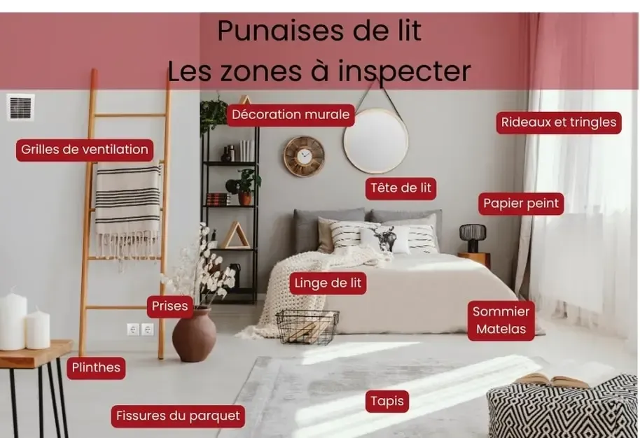 Infographie indiquant les endroits à inspecter pour vérifier si vous avez des punaises de lit dans votre chambre