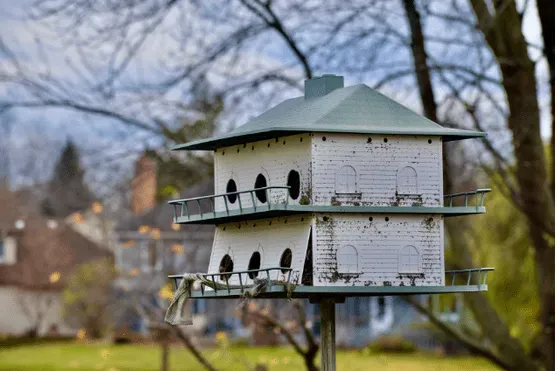 Un pigeonnier contraceptif installé dans le parc d'une ville pour lutter contre la surpopulation de pigeons
