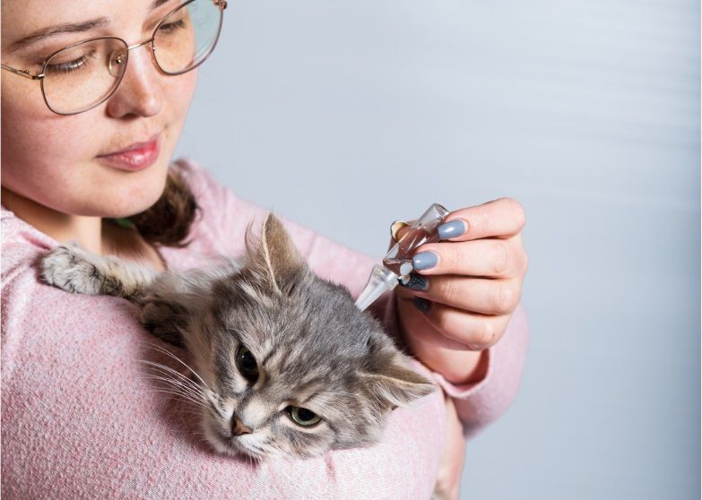 Une femme en train d'appliquer de l'antipuce en pipette sur son chat. 