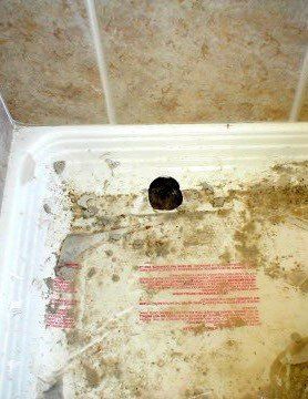 Before Dirty Tub — N. Charleston, SC — Surface Specialists