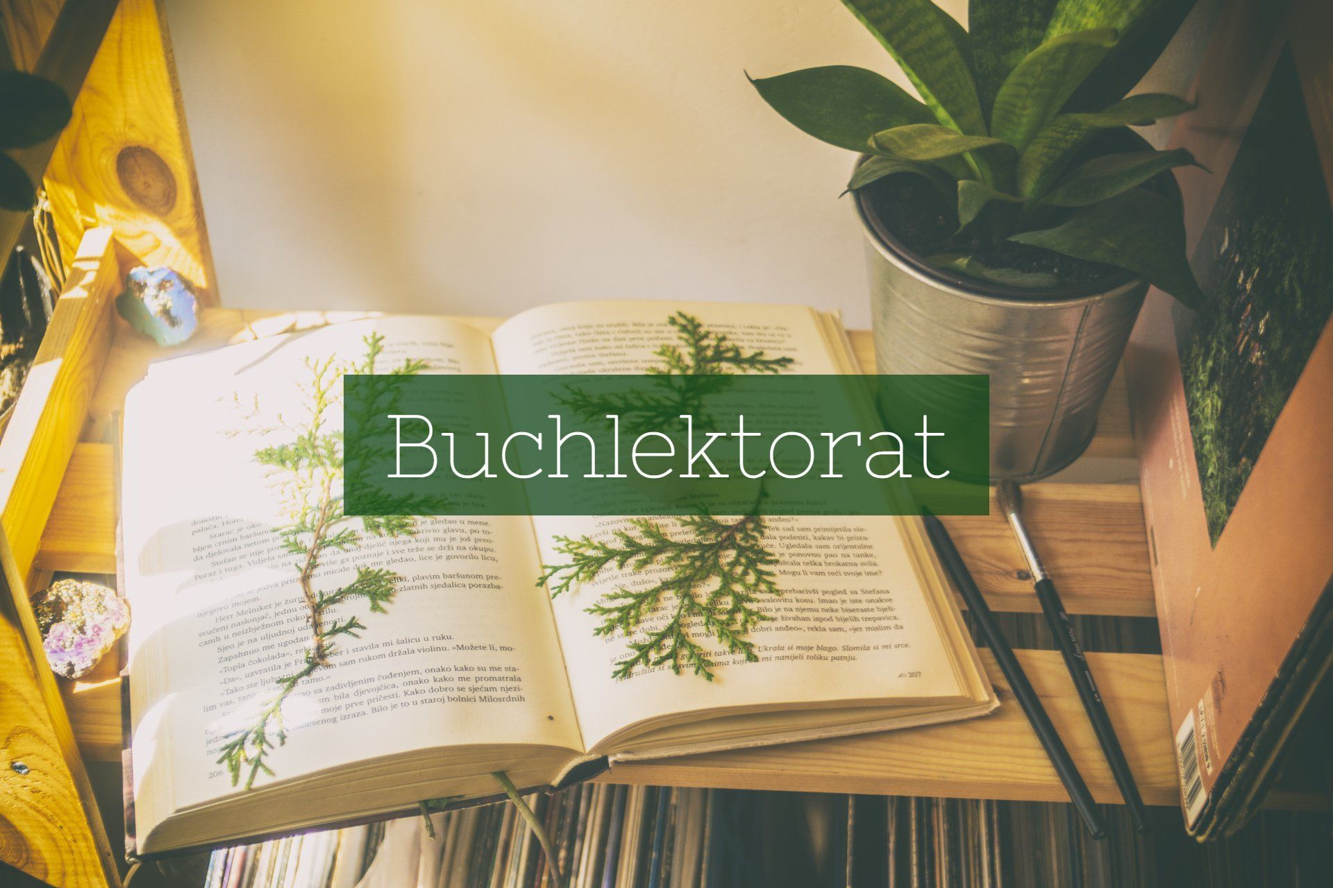 Ein aufgeschlagenes Buch auf einem Tisch. Darauf befinden sich Pflanzen und eine Texttafel mit der Aufschrift „Buchlektorat