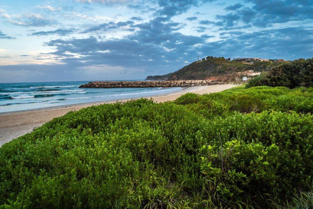 A Beach With a Lot of Green Bushes and Trees Surrounding It — Ocean Air Electrical in Evans Head, NSW