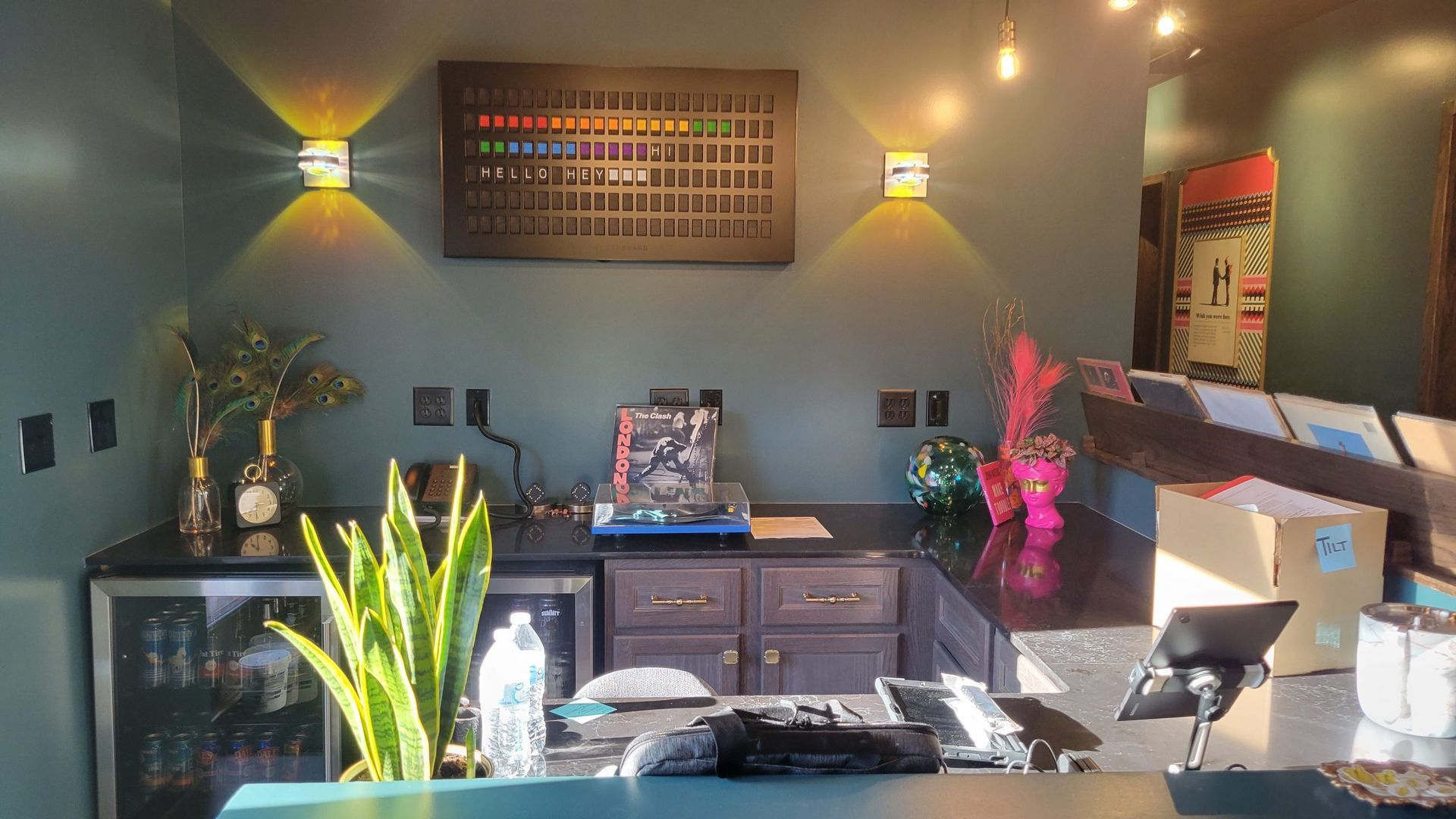 A room with a bar and a plant on the counter.