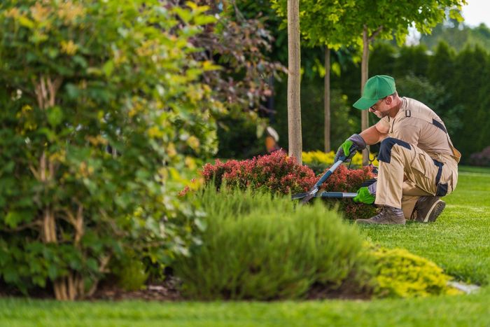 An image of Landscaping Contractors in Warren OH