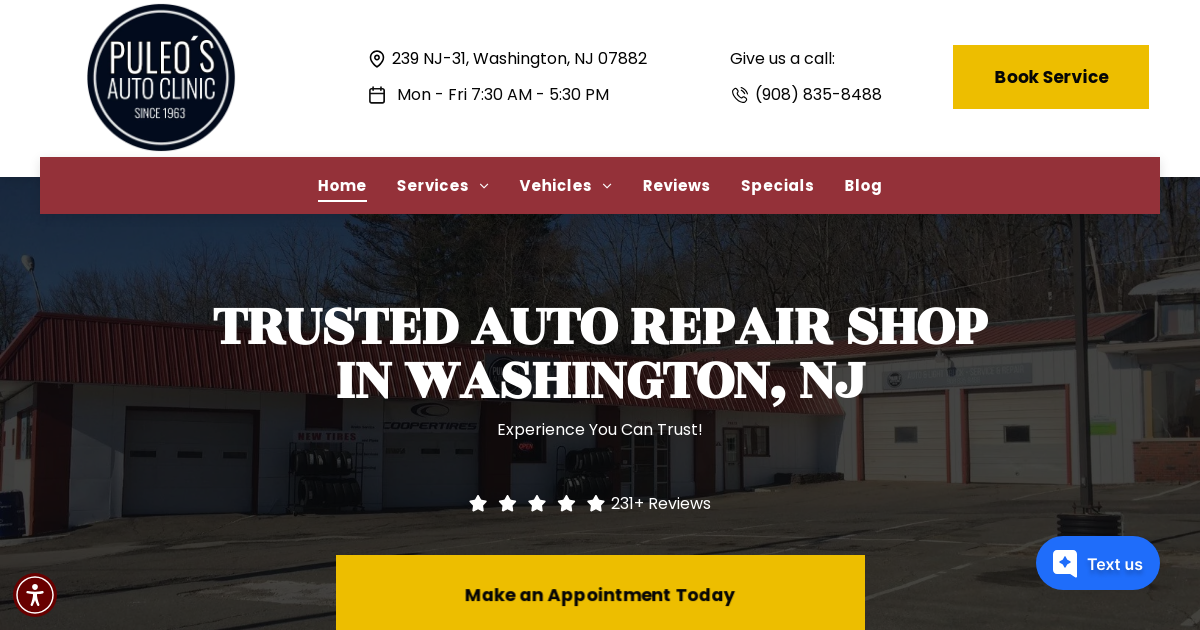Screenshot of Puleos Auto Clinic LLC website