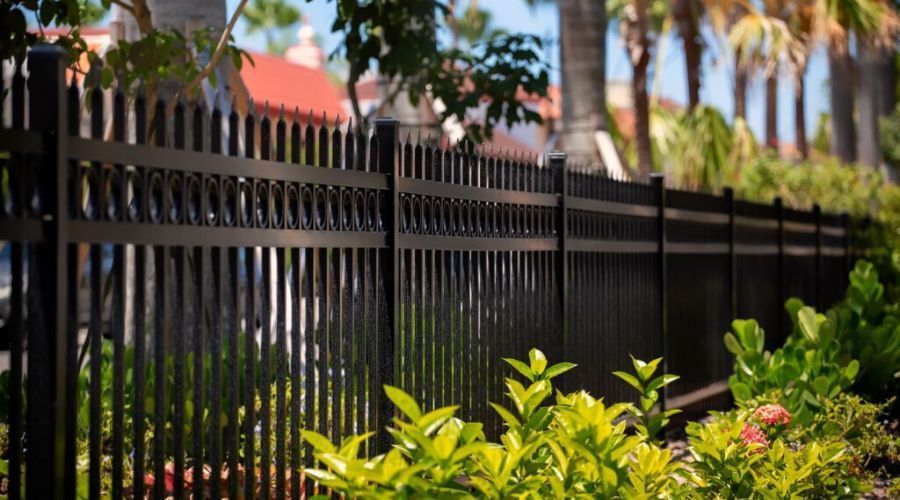 A black, decorative metal fence with spear-top pickets, set in front of palm trees and tropical landscaping.