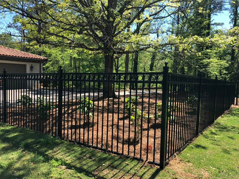 Black metal fence surrounds a garden bed with young plants and mulch, with a house visible on the left and trees in the background.