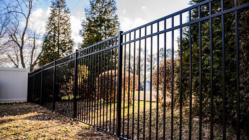 Black metal fence in a yard, with trees and a white vinyl fence in the background.