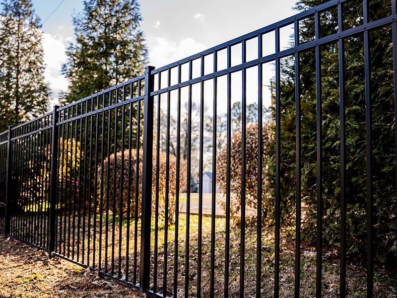 Black metal fence in front of trees and shrubbery. Sunny outdoor setting with grass.