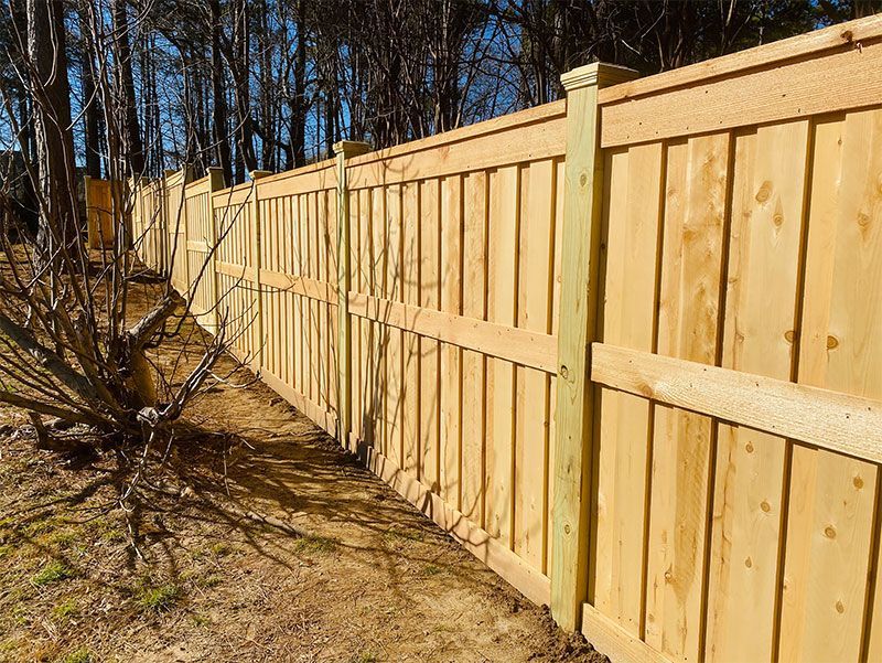 A wooden fence with vertical planks stands in an outdoor setting, bathed in sunlight.