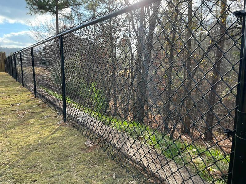 Black chain-link fence bordering a path through a wooded area, with sunlight shining through the trees.