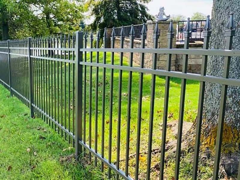 A black metal fence encloses a grassy yard, with a tree trunk on the right side and a stone wall in the background.