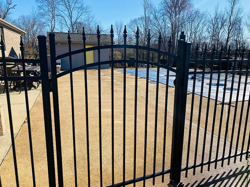 Black metal fence and gate enclose a backyard pool area, with a shed in the background.