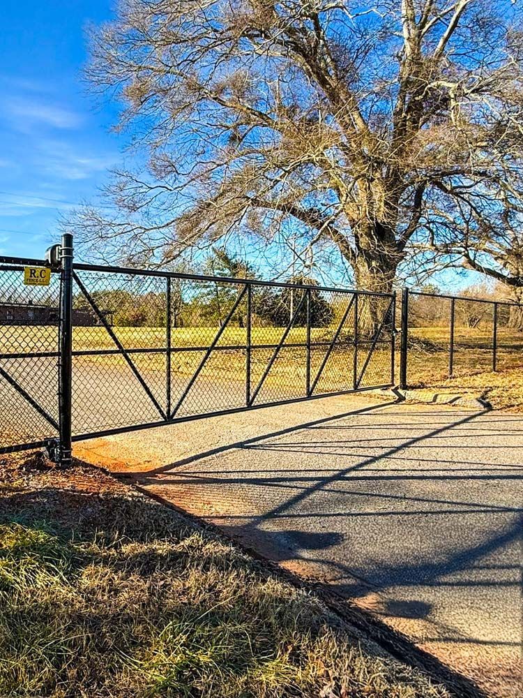 Black metal gate on asphalt road, under a large tree, sunny day.