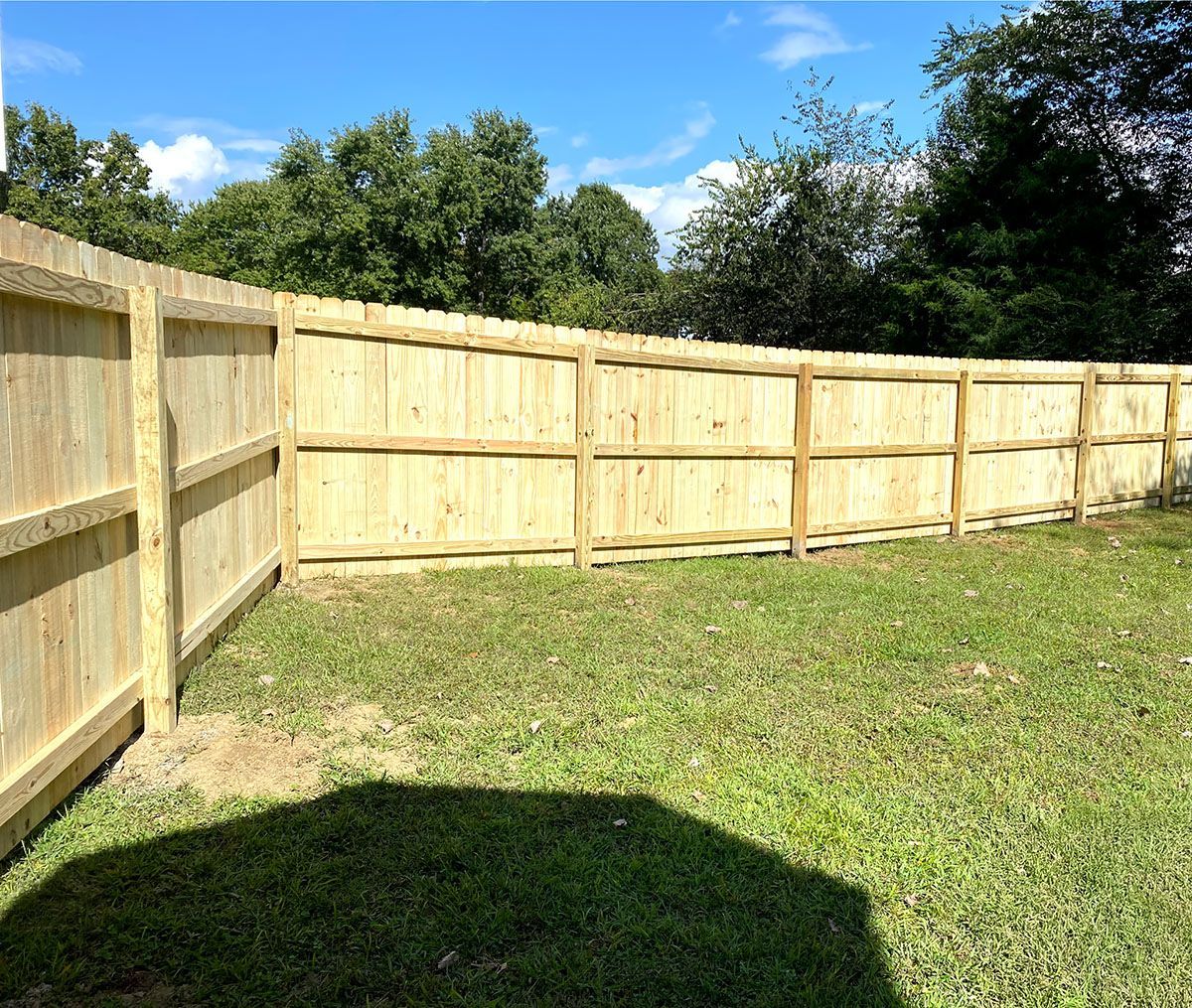 Wooden fence curving across a grassy yard, under a bright blue sky, trees in the background.
