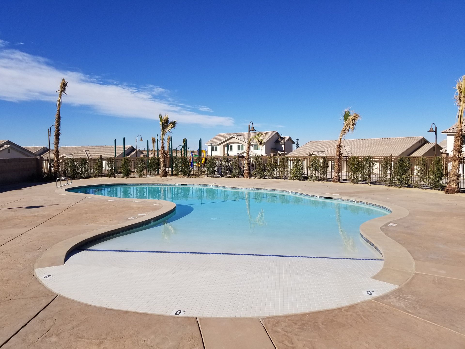 A large swimming pool with palm trees in the background