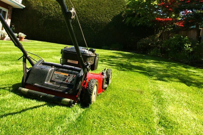 Expert landscaping team performing lawn care services in Summerville, SC.