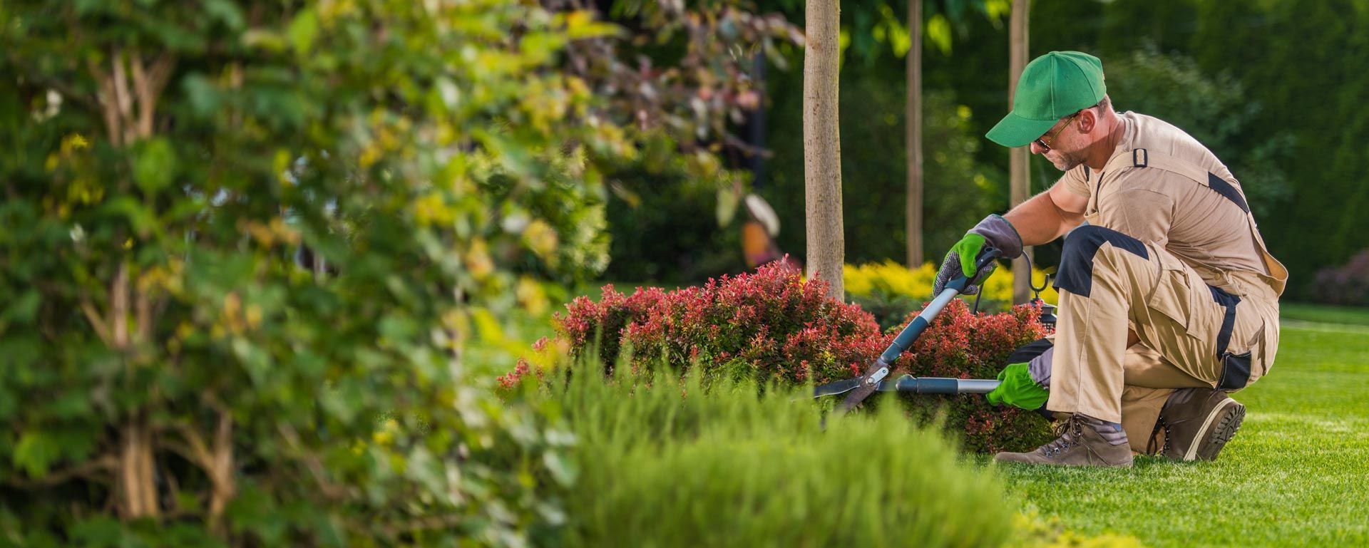 Properly maintained and cared for landscaping in a residential home in Summerville, SC.