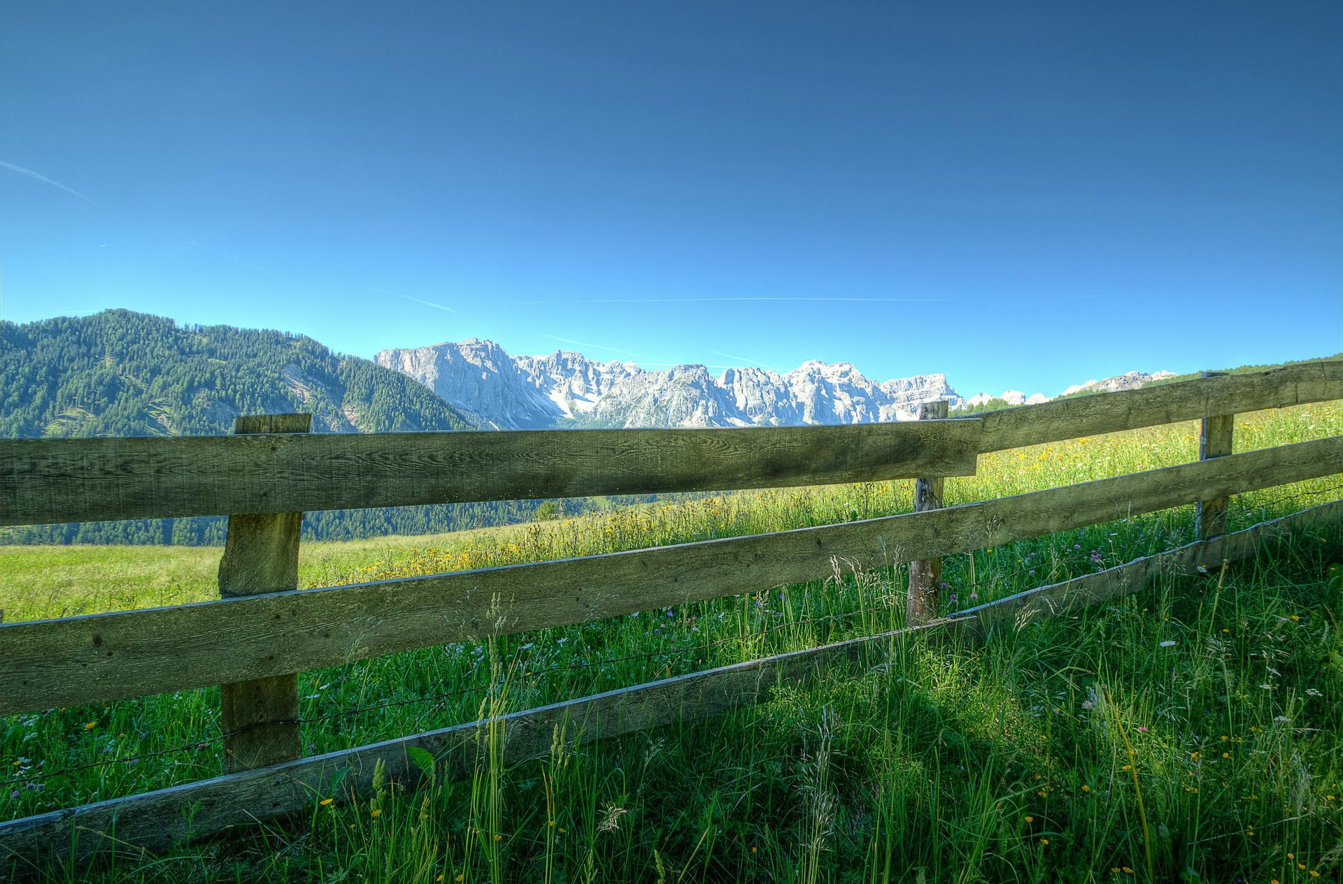 Wooden fence in a green field with mountains in the background under a blue sky.