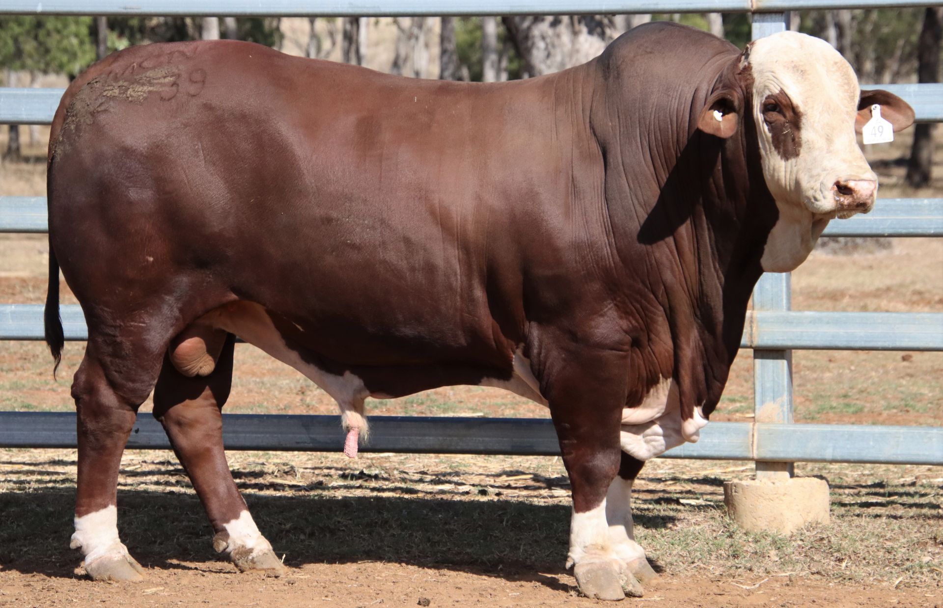 Mountain Valley Roma