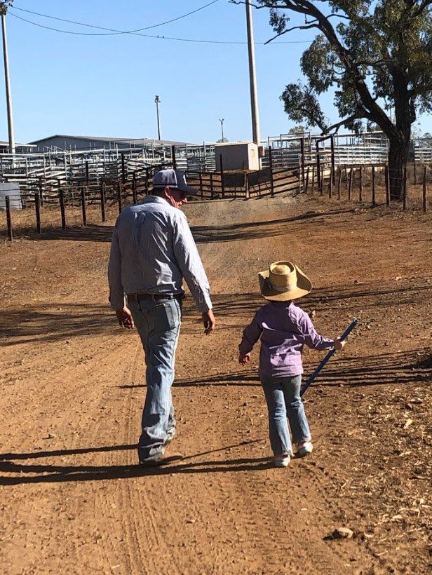 MCN----national-sale-2019