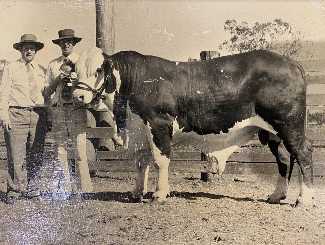 MCN---Strathgyle-Bonanza