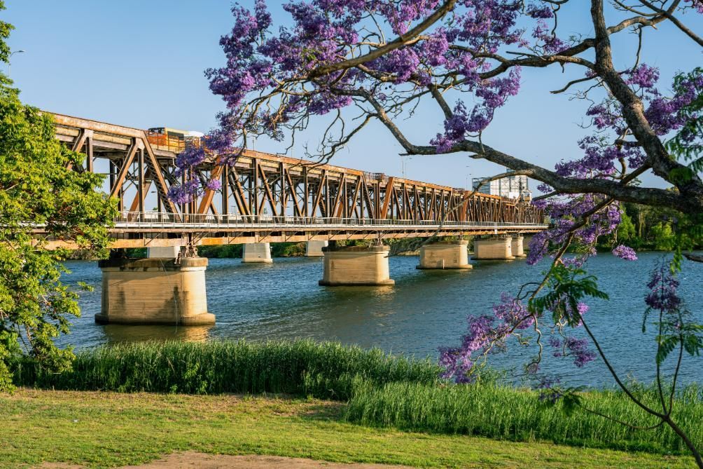 A Bridge Over a Body of Water With Purple Flowers in the Foreground — Coastal Test & Tag in Grafton, NSW