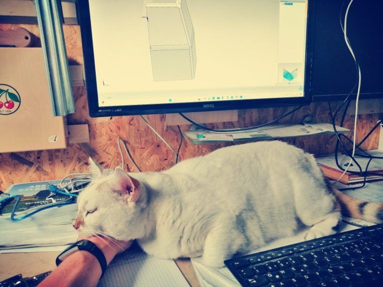 Eine weiße Katze, die auf einem Schreibtisch vor einem Computermonitor liegt