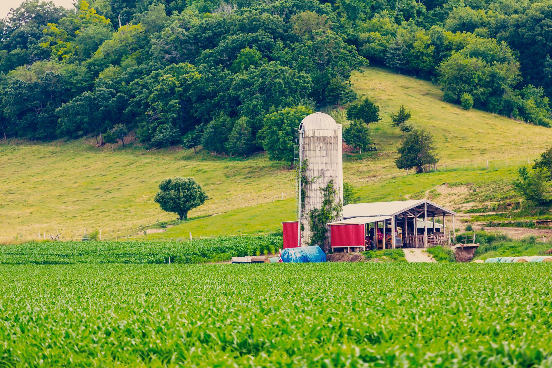 Farm scene with silo, barn, and green fields against a tree-covered hillside.