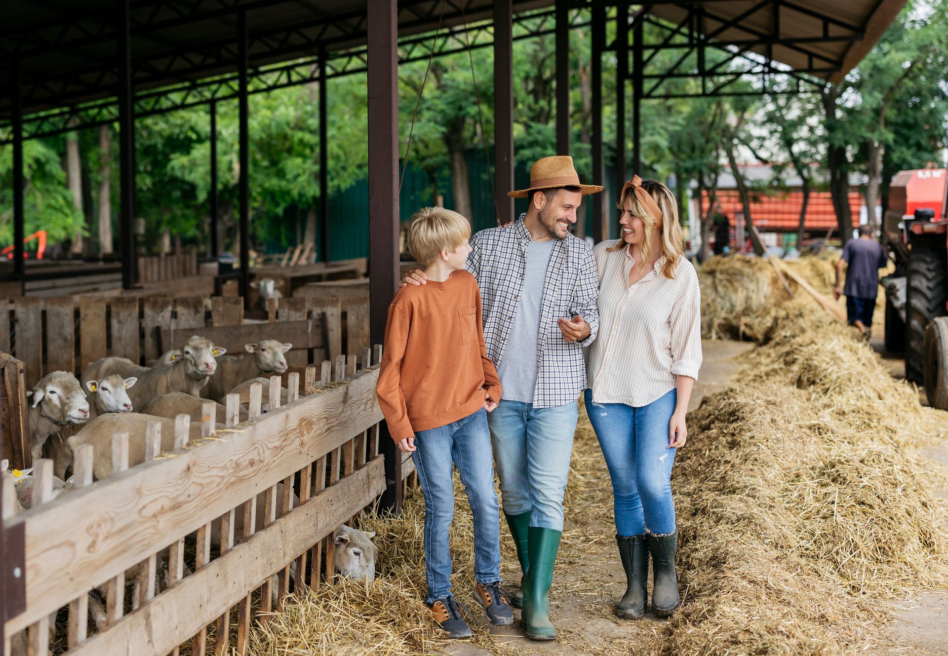 Family walking through a barn, looking at sheep in pens; hay bales to the right.
