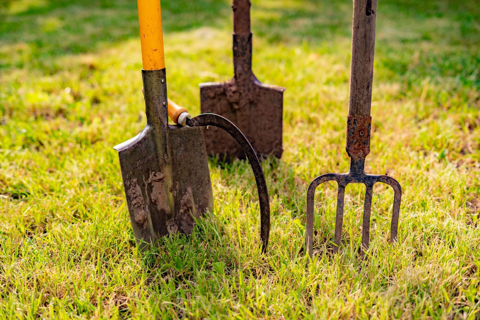 Three gardening tools standing in grass: a shovel, a hoe, and a pitchfork.