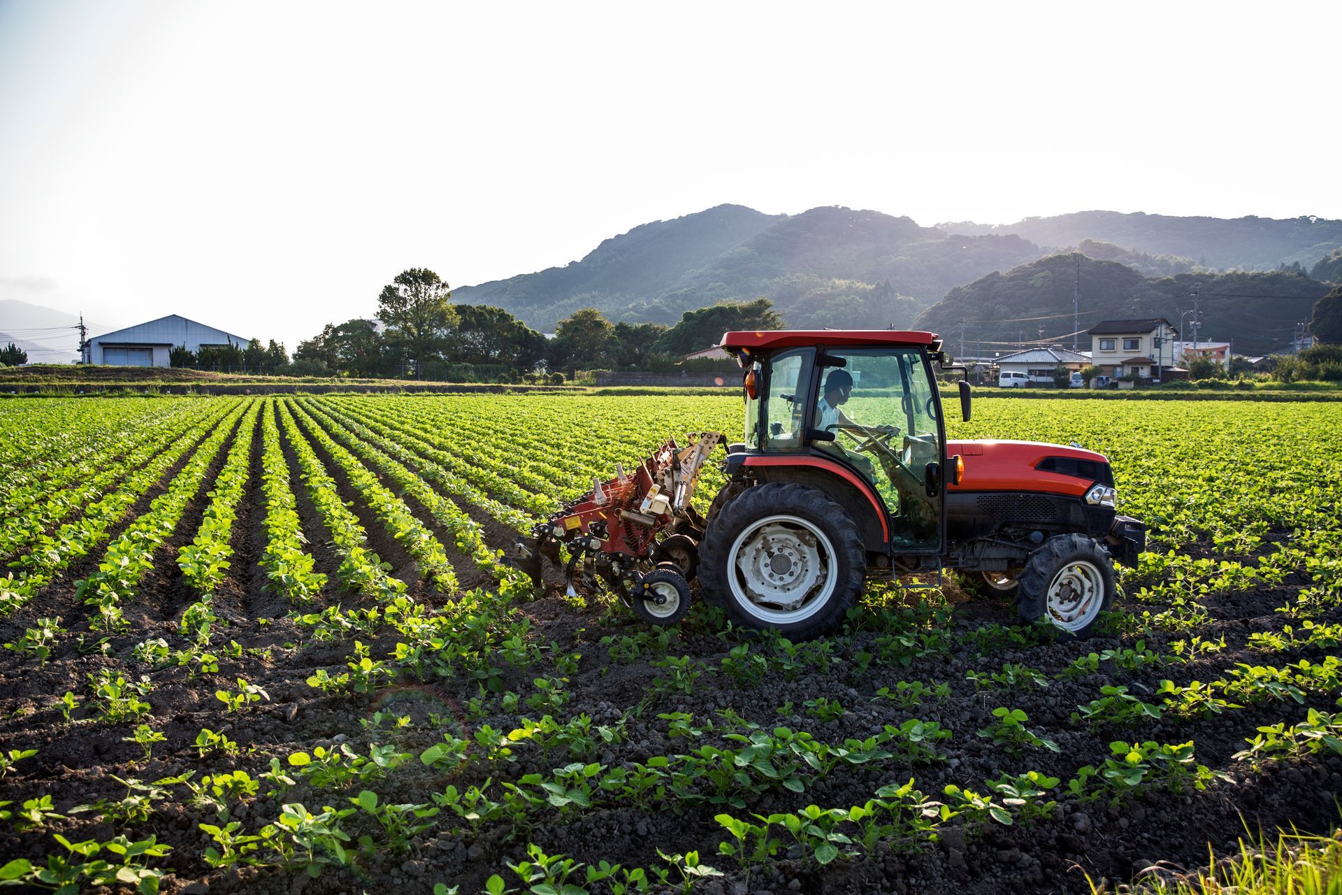 Red tractor plowing rows of crops in a field, mountains in the background, sunny day.