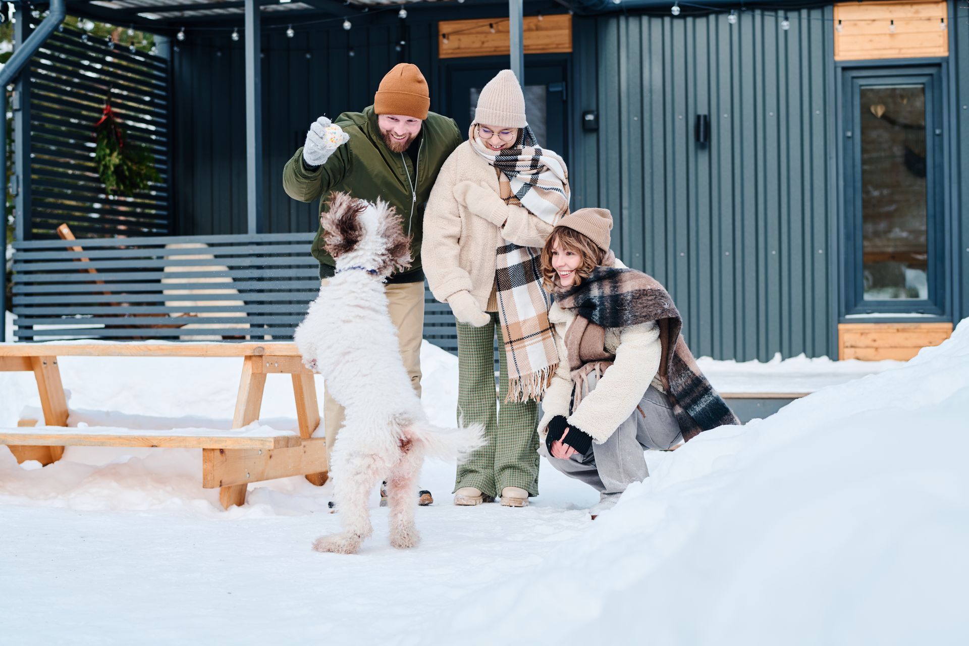 Family playing in the snow with a dog. People in winter clothes outside a cabin.