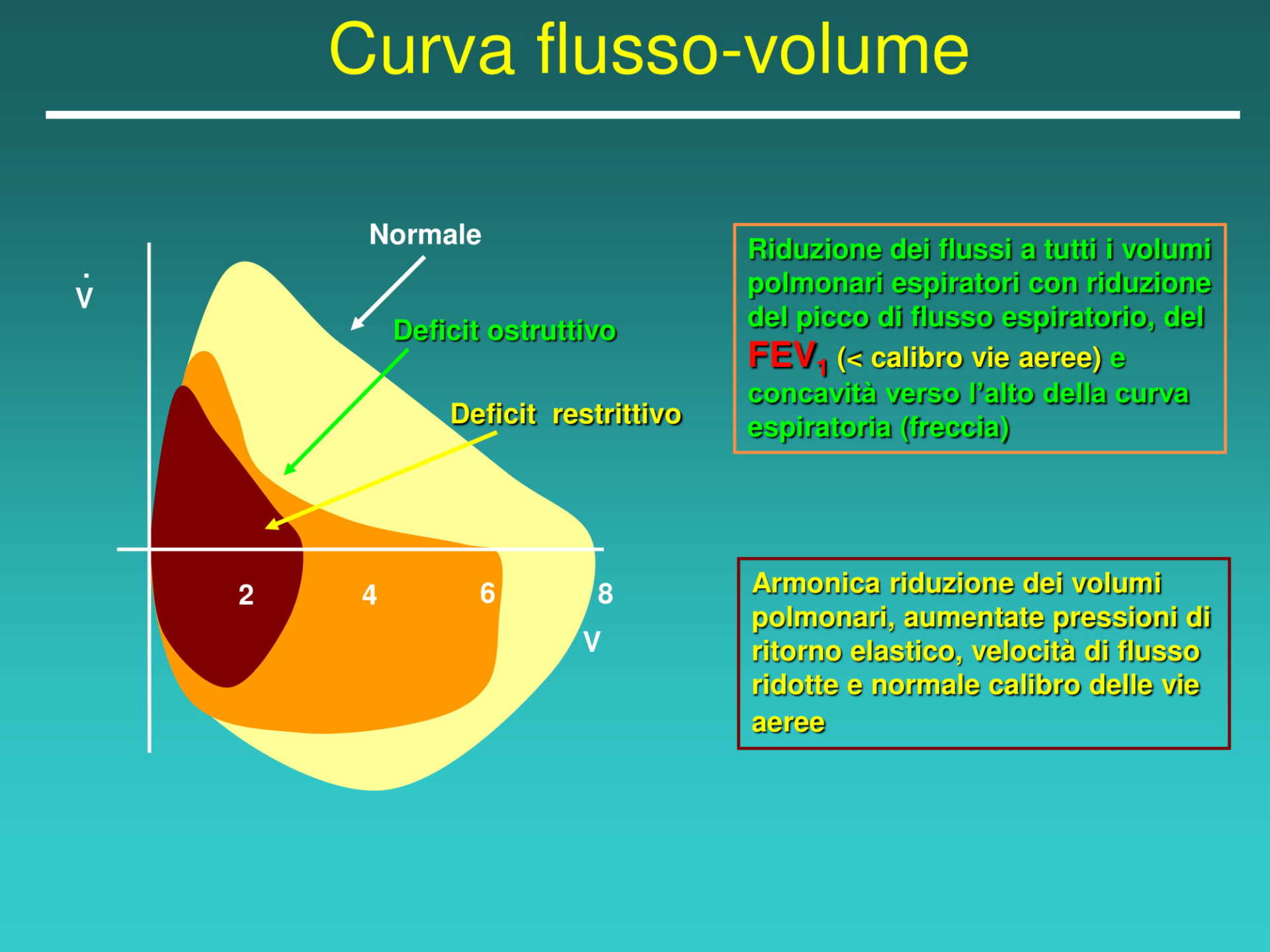curva flusso volume