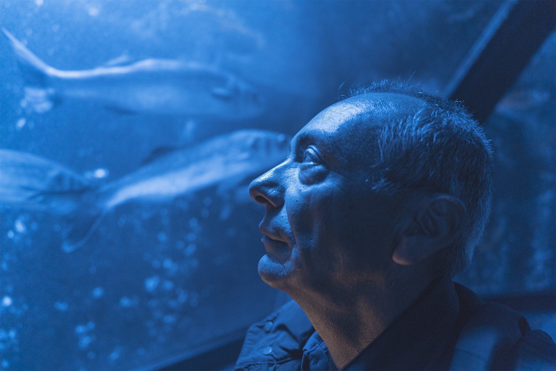 dott. Ignazio Cirillo