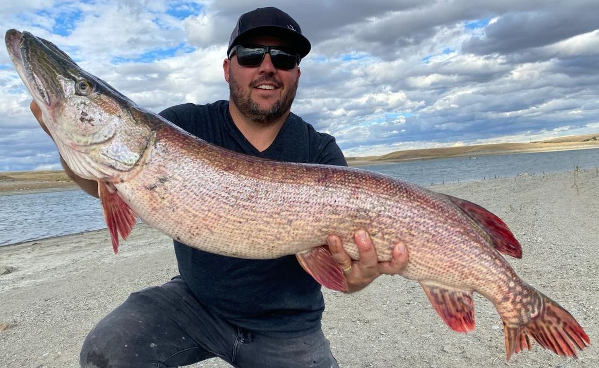 Northern Pike Fishing Lake Oahe South Dakota