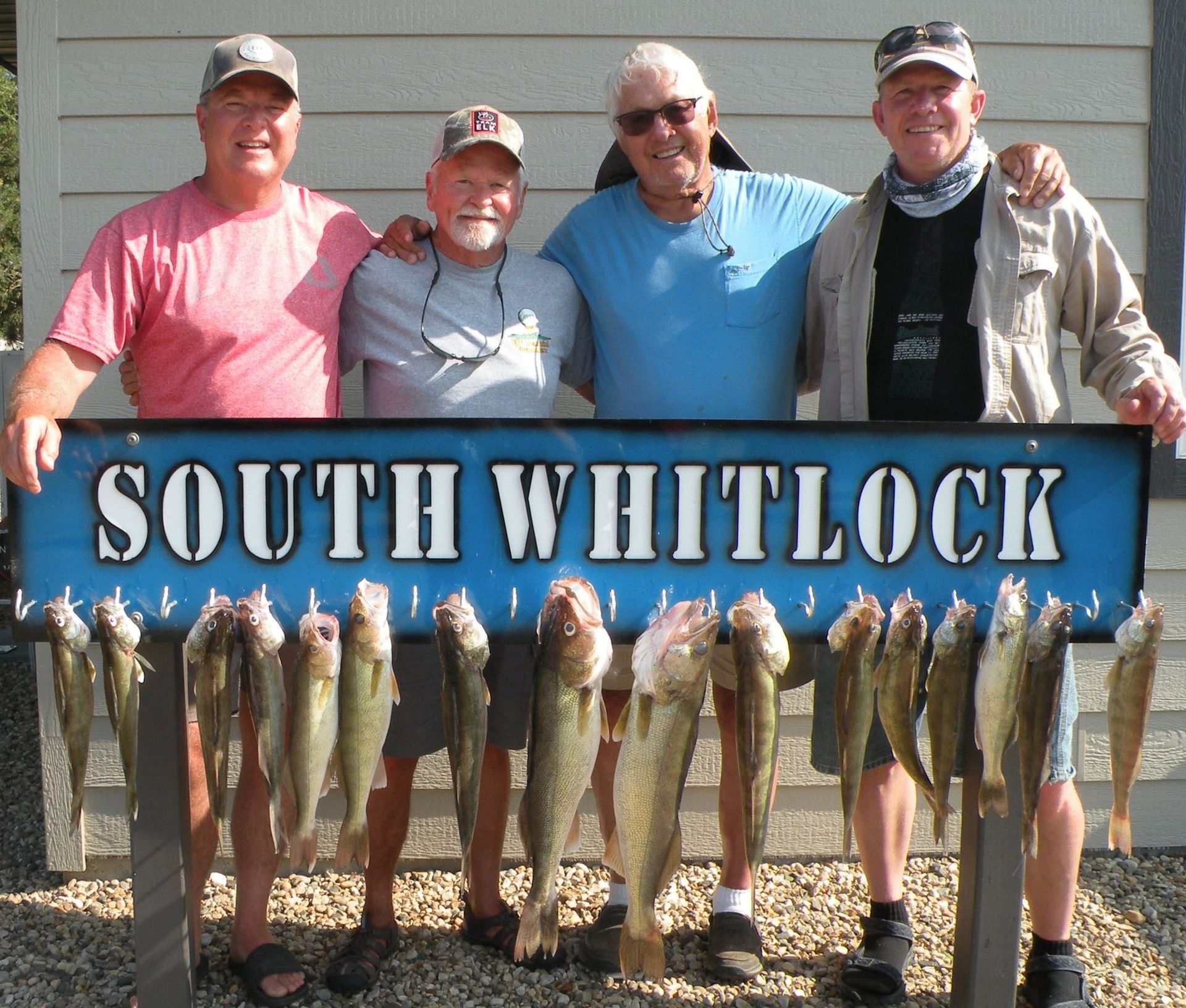 walleye limit south whitlock resort