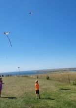 A group of people are flying kites in a field near the ocean.