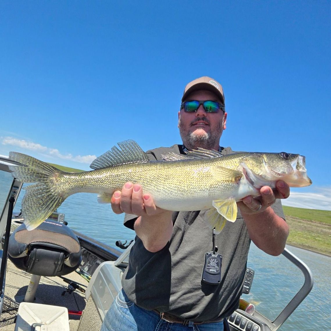 Lake Oahe Fishing Report - Gettysburg - Whitlock Bay