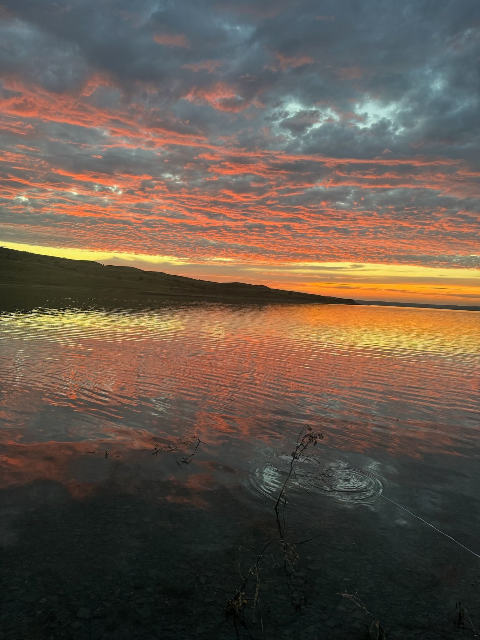 Lake Oahe Fishing - Whitlock Bay - Gettysburg, SD