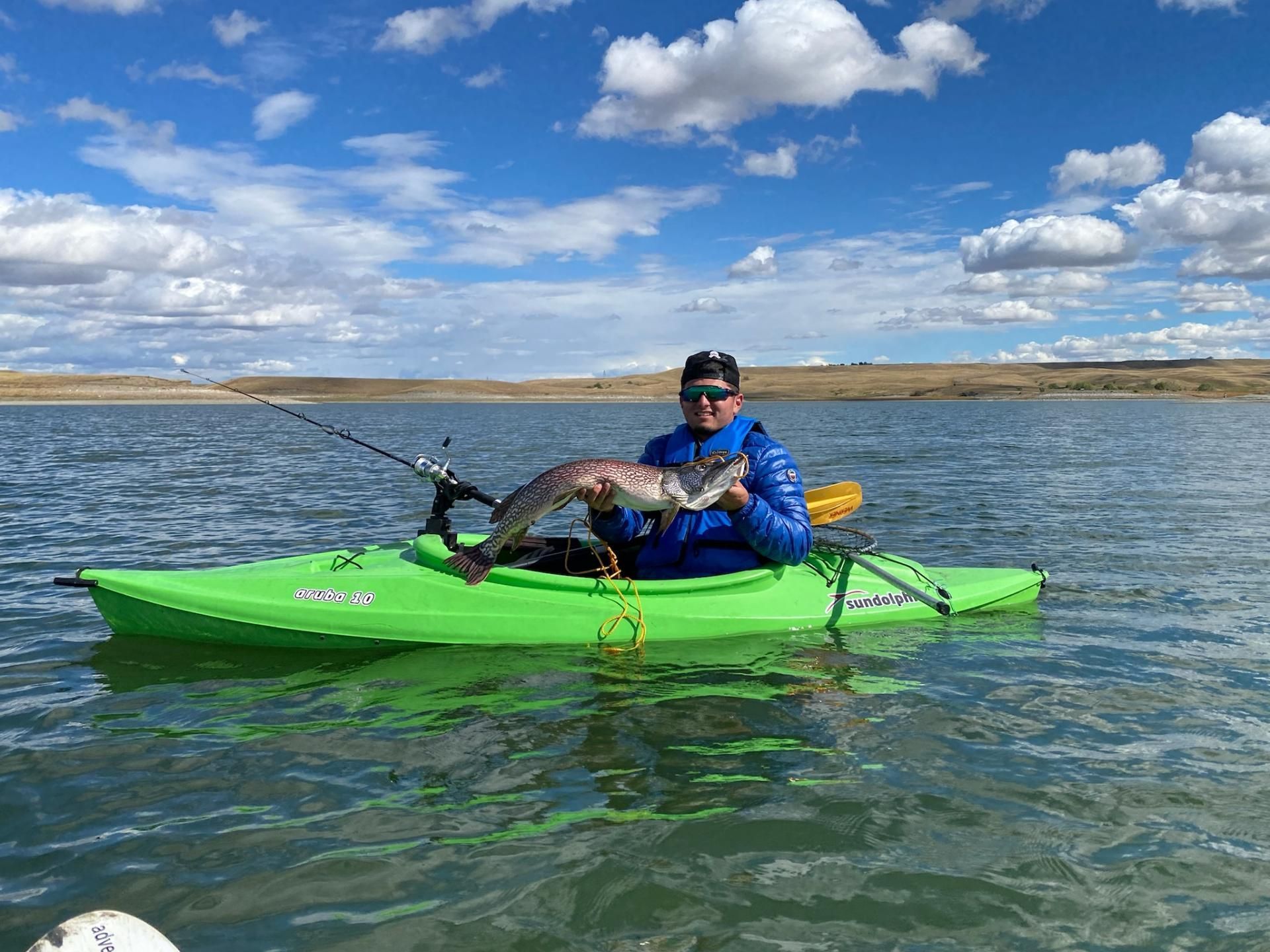 A man is sitting in a green kayak holding a large fish.